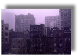 New York Snow